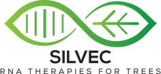full silvec logo.png.png