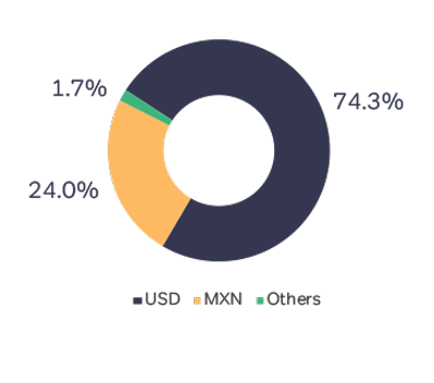 Debt-by-currency-Q4-2025.png