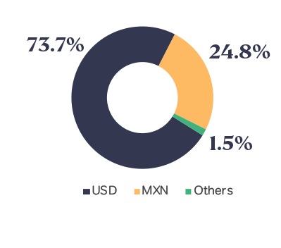 Debt-by-currency-Q1-2026.png