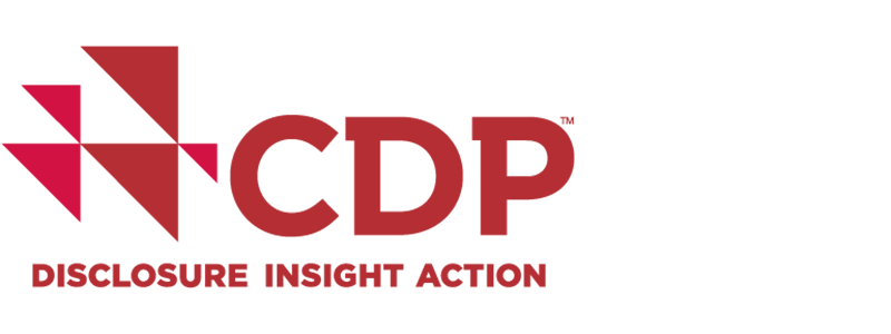 CDP_2026.png