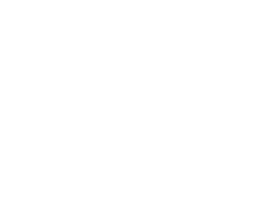 vestolit-alphagary_logo_white.png