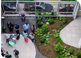 NYC raingarden.png