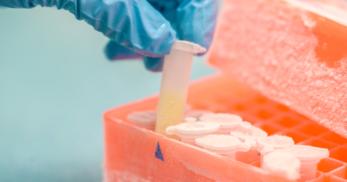 Orbia's Fluorinated Solutions Koura Klea® 473A wins Refrigeration