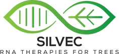 full silvec logo.png.png